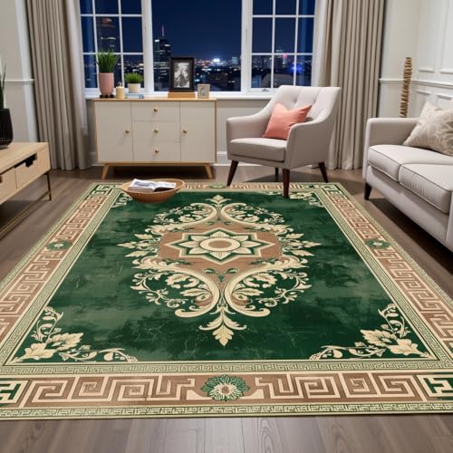 Modern Greek Key Texture Green and Brown Rug 2x3 Vintage Abstract Floral Rugs for Living Room Bedroom Nursery Classroom Guestroom Large Carpet Under Dining Table Soft Comfort Low Pile Mats - color: A, size: 2x3