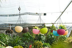 Hanging Basket Plastic Flower Pot Round Resin Garden Hanging Planter for Indoor Outdoor Plants 2 Pack Mulberry - color: 8 Inch Fushia
