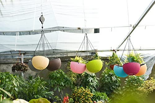Hanging Basket Plastic Flower Pot Round Resin Garden Hanging Planter for Indoor Outdoor Plants 2 Pack Mulberry - color: 8 Inch Fushia