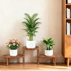 3 Tier Corner Plant Stand Indoor - Adjustable Wood Convex Flower Stand for Small Spaces, Heavy Duty Long Plant Shelf for Living Room Balcony Hallway