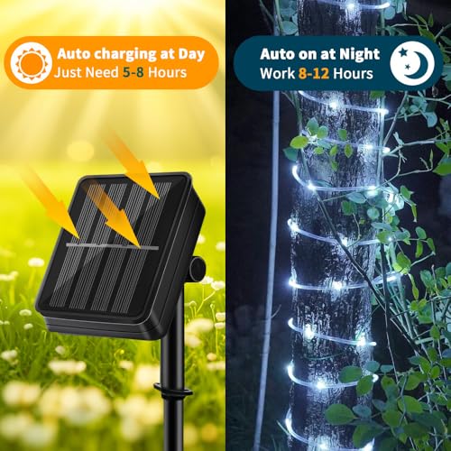 LairtPOW Solar Rope Lights, 39FT 100LEDs Outdoor Solar Strip Lights,IP65 Waterproof Outdoor Led Rope Lights with 8 Lighting Modes for Garden Yard Christmas Holiday Palm Tree Decoration (Cool White) - color: Cool White, size: 100 LED