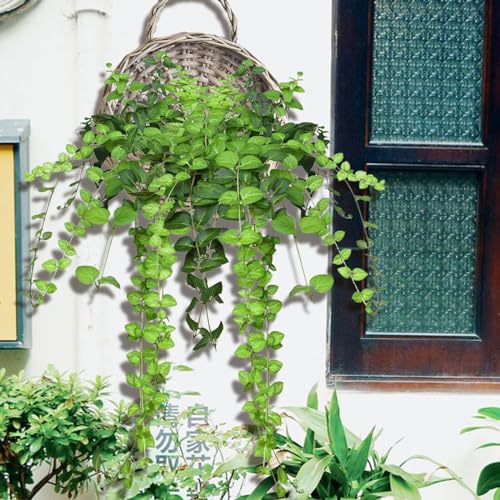 Handmade Woven Hanging Basket Flower Basket Decorative Wicker Handed Storage Basket for Lawn Indoor Outdoor Plants Farmhouse, M - color: M
