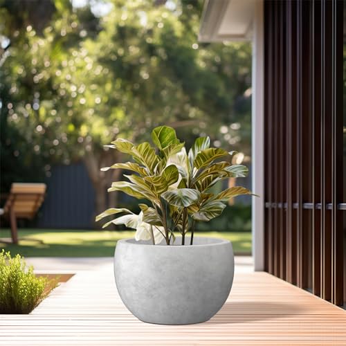 Kante 11.8" Dia Round Concrete Planter, Outdoor/Indoor Large Bowl Plant Pots with Drainage Hole and Rubber Plug for Garden Patio Balcony Home, Natural Concrete - color: Natural Concrete, size: 11.8" d