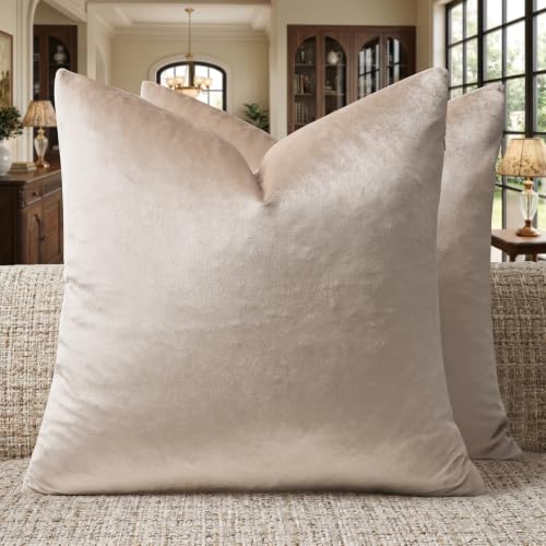 GIGIZAZA Beige Pillow Covers 20x20: Pack of 2 Super Soft Velvet Throw Pillows Solid Vintage Covers - Decorative Elegant Champagne Couch Big Square Cushion Covers Used for Living Room,Bedroom - color: Champagne, size: 20" x 20" (Pack of 2)