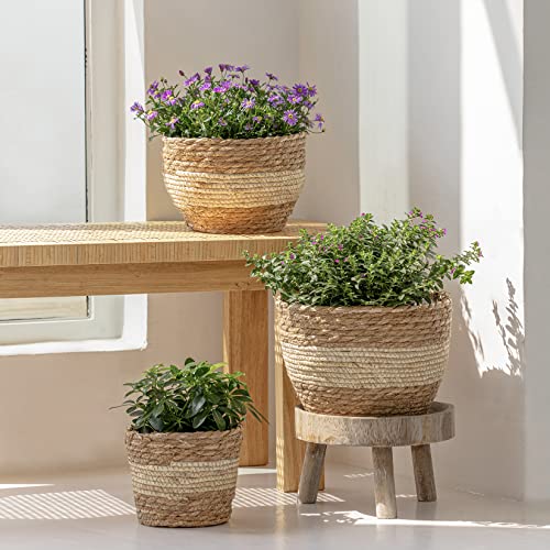 LA JOLIE MUSE Seagrass Planter Basket Indoor Outdoor, Flower Pots Cover, Plant Containers, Beige, 10 inch - color: Beige