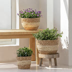 LA JOLIE MUSE Seagrass Planter Basket Indoor Outdoor, Flower Pots Cover, Plant Containers, Beige, 10 inch - color: Beige