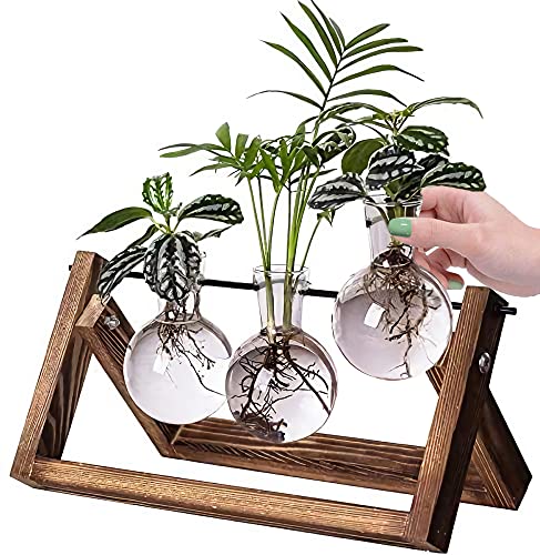 Kingbuy Desktop Glass Planter Iron and Wooden Stand Plant Terrariums for Indoor Office Desk Decor Accessories, 3 Bulb Vases, Brown - size: 3 Bulb Vase (C-type)