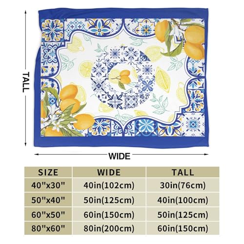 Summer Lemon Throw Blanket for Couch Chair Sofa Bed, Flannel Soft Watercolor Mediterranean Ceramic Tiles Floral Blanket for Bedroom Living Room Car, Warm Cozy Blankets for All Season 30"x 40" - color: Lemon04, size: 30X40 inch
