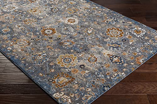Hauteloom Nimes Living Room, Bedroom Area Rug - Floral Medallion Distressed Border Faded - Traditional Oriental Transitional - High Pile - Gray, Beige, Cream, Blue, Brown - 7'10" x 10'2" - color: Gray, Beige, Cream / Cochituate, size: 7'10" x 10'2" (Recta