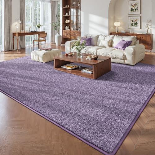 Pettop 4x6 Light Purple Area Rugs for Living Room Bedroom, Thickened Memory-Foam Throw Carpet, Modern Minimalist Super Soft Kids Boys Girls Rug, Non-Slip and Washable Carpets for Dorm Home Decor - color: Purple-white, size: 4' X 6' (Rectangular)