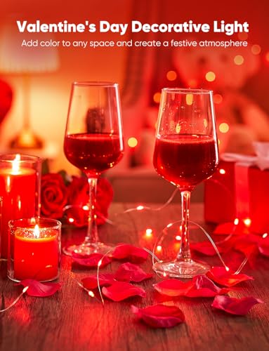 Brightown 12 Pack LED Fairy Lights, Waterproof, Red, 7 Feet, 20 LEDs, Battery Operated, Flexible Silver Wire, Safe, Energy Saving, Long-Lasting, Indoor and Outdoor Use - color: Red, size: 12 Pack