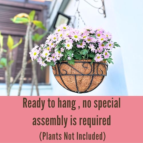 LaLaGreen Hanging Planter for Outdoor Plants (16 Inch, 2 Pack) Hanging Baskets with Coco Liner, Black Metal Wire Flower Basket Pots with Hook Hanger Balcony Porch Farmhouse Country Style Garden Decor - size: 16" x 2 Pack