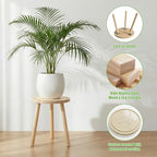 Wood Plant Stands Indoor, Single Plant Stand Modern Plant Table for Large Plants, Wooden Plant Stool Tall Plant Holder Small Round Side/End Table for Living Room Balcony Office (Light Brown) - color: Light Brown