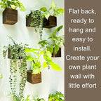 LaLaGreen Indoor Planter Box for Plants (4x4 Inch, 12 Pack) Small Square Wooden Wall Mounted Planters Wood Window Boxes Hanging Flower Pot Plant Holder Outdoor Herb Modern Vertical Garden Home Decor - size: 4x4" x 12 pack