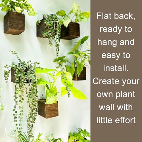 LaLaGreen Indoor Planter Box for Plants (4x4 Inch, 12 Pack) Small Square Wooden Wall Mounted Planters Wood Window Boxes Hanging Flower Pot Plant Holder Outdoor Herb Modern Vertical Garden Home Decor - size: 4x4" x 12 pack
