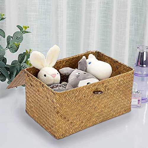 Hipiwe Wicker Shelf Baskets Bin with Lid, Handwoven Seagrass Basket Storage Bins Rectangular Household Basket Boxes for Shelf Wardrobe Home Organizer, Caramel Small - color: Caramel, size: Small