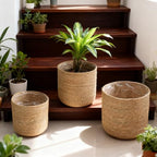 9 inch Seagrass Woven Planter Basket - Wicker Planter Basket with Plastic Film Insert for Indoor Plants, Large Monstera Pot, Woven Storage Basket, Boho Home Decor (Small) - size: Small