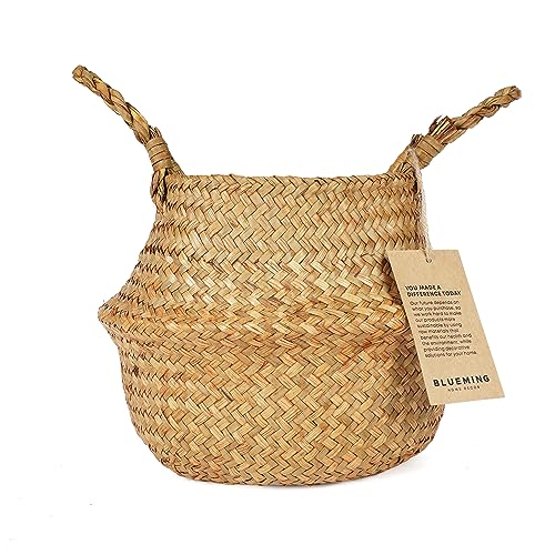 Basket Planter for Indoor Plants – 7 Inch Small Woven Wicker Pot for Olive Tree, Faux Plants, or Snake Plant, Handwoven Seagrass Basket with Handles (Original, Small) - color: Original, size: Small