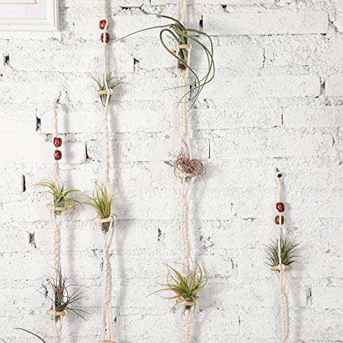 Shappy 4 Pieces Air Plants Holders Hanger Air Plant Wall Hanger Handmade Rope Hanging Plant Holder Woven with 4 Hooks for Home Decoration