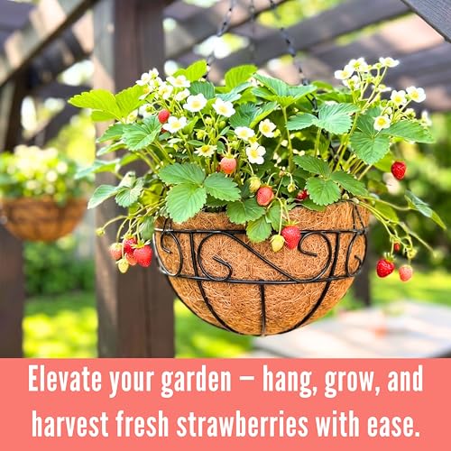 LaLaGreen Hanging Planter for Outdoor Plants (14 Inch, 2 Pack) Black Hanging Baskets with Coco Liner, Metal Wire Flower Basket Pots with Hook Hanger Balcony Porch Farmhouse Country Style Garden Decor - size: 14" x 2 Pack