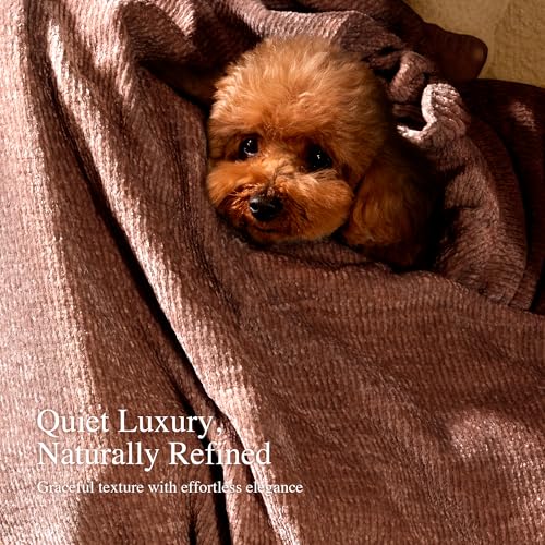 Chenille Throw Blanket for Couch, Cozy Soft Blanket Twin Lightweight Decorative Throw for Living Room Sofa Chair, Stylish Home Decor, Ideal for Gifting, Brown 60"x80" - color: Brown, size: Twin