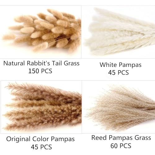 300 PCS Dried Flower Bouquet – Pampas Grass, Floral Decor for Home, Wedding, and Boho Style | Perfect for Vases, Fall, Spring, Summer, and Winter Arrangements - size: 300PCS