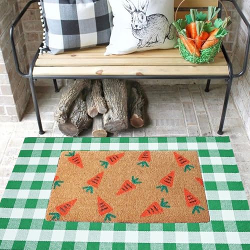 CAINANEL Buffalo Plaid Outdoor Rug Green and White Spring Door Mat Layering Rug Welcome Doormats for Spring Easter Farmhouse Entrance Porch Outdoors Decor - color: Green and White, size: 2'4" x 3'7" (Rectangular)
