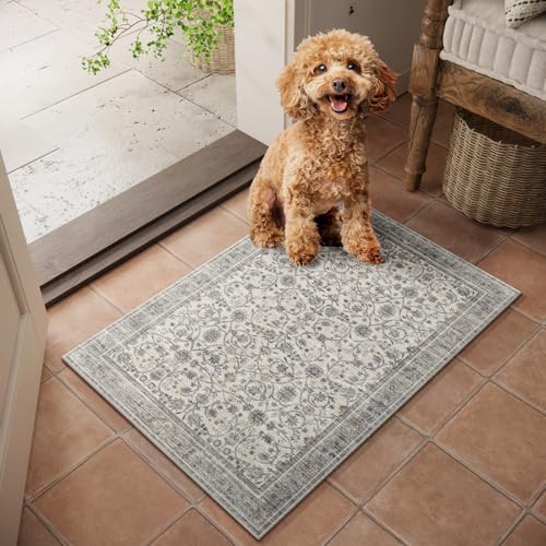 Machine Washable Entryway Small Area Rugs: Soft Non-Slip Low Pile Door Mat Indoor Entrance 2x3 ThrowRug for High-Traffic Areas Kitchen, Hallway, Farmhouse Decor - color: Beige/Grey/Multi, size: 2'x3'