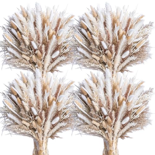 440PCS Natural Dried Pampas Grass Boho Home Decor Bouquet Phragmites Dried Flowers Bouquet for Wedding Floral Arrangements Home Decorations (440PCS) - size: 440 Pcs