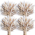 440PCS Natural Dried Pampas Grass Boho Home Decor Bouquet Phragmites Dried Flowers Bouquet for Wedding Floral Arrangements Home Decorations (440PCS) - size: 440 Pcs