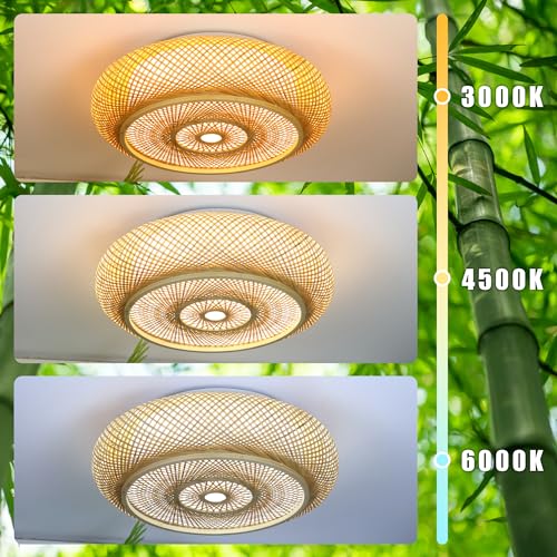 19.7 in Bamboo Woven Rattan-Style Ceiling Light, Boho Ceiling Light Fixture with Remote, LED Dimmable Ceiling Light, Boho Light Fixture for Bedroom Living Room Dining Room Light - size: 19.7in