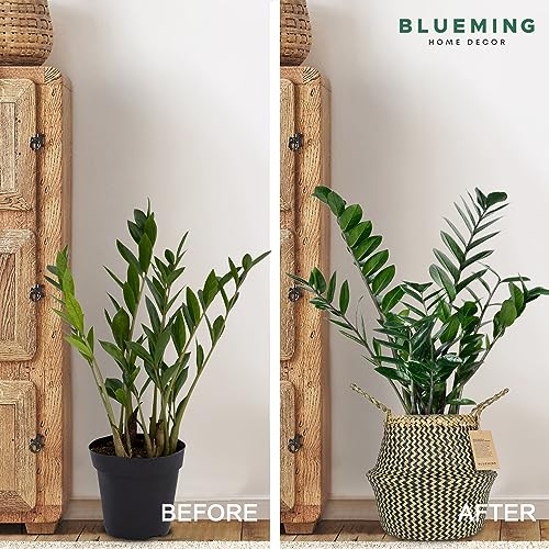 Blueming Wicker Plant Basket – Small 8-9 Inch Medium Seagrass Pot for Faux Olive Tree, Snake Plant or Houseplants, Black Decorative Planter for Home Decor - color: Black, size: Medium