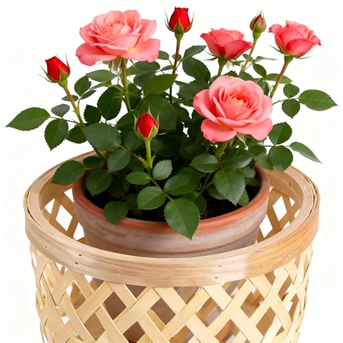 Boho Rattan Plant Stand – Handwoven Elevated Wicker Plant Baskets for Indoor Plants, Mid-Century Modern Wooden Planter Holder with Tripod Legs, Farmhouse Home Decor（small） - size: 1 pieces (S)