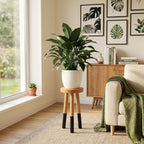 Rubber Wood 9" Round Plant Stand |Dip Dyed Black Accent Stool |Small Drinking Table |Side Table(18" H) - color: 18" Tall Black