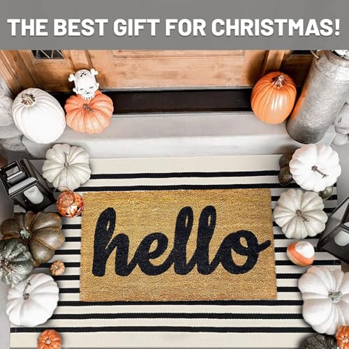IOHOUZE Black Beige Striped Rug -2.3'x3.6' Front Door Rugs Outdoor, Small Washable Area Rug for Front Porch, Spring Summer Welcome Mats Outdoor Indoor, Doormat for Entryway Porch Entrance - color: Light Beige/Black Stripe, size: 2'4" x 3'8" (Rectangular)