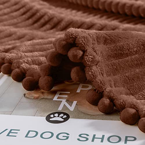 DISSA Fleece Blanket Twin Size – 60x80, Caramel – Soft, Plush, Fluffy, Fuzzy, Warm, Cozy – Perfect Throw for Couch, Bed, Sofa - with Pompom Fringe - Flannel Blanket Throw Blanket - color: Caramel, size: 60x80"