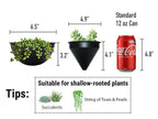 Metal Hanging Planters Set of 2 Modern Indoor Plant Hanger with Round and Diamond Pots, Geometric Small Wall and Ceiling Hanging Plant Holders for Succulents and Herbs, Black Finish - size: CIRCLE+DIAMOND