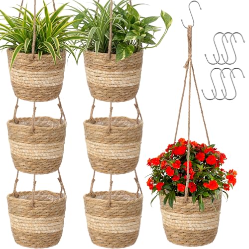 6 Pcs Seagrass Hanging Planter Basket Hand Woven Plant Basket with Plastic Liners Hanging Plant Holder Storage Containers with Cotton Rope for Indoor Outdoor Garden Home Decor(Beige) - color: Beige, size: Small