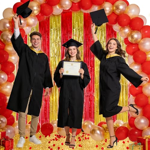 TONIFUL Red and Gold Fringe Backdrop Curtain 2026 Nurse Graduation Party 2Pcs 3.3 x 6.6ft Metallic Tinsel Foil Fringe Photo Booth Backdrop Door Streamers for Prom Birthday Retirement Party Decorations - color: Gold Red