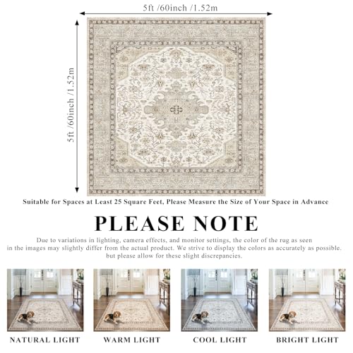 5x5 Rug Square Washable for Entry: Oriental Rugs for Living Room- Ultra Thin Low Pile Stain Resistant Carpet - Home Decor for Vintage Style Lover - 5' Square Ivory - color: Ivory, size: 5' x 5' (Square)