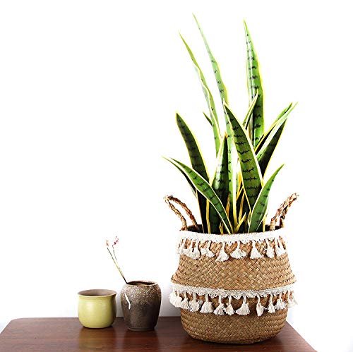 Tassel Macrame Woven Seagrass Belly Basket for Storage, Decoration, Laundry, Picnic, Plant Basin Cover, Groceries and Toy Storage (Medium, Tassel) - color: Ivory White, size: Medium