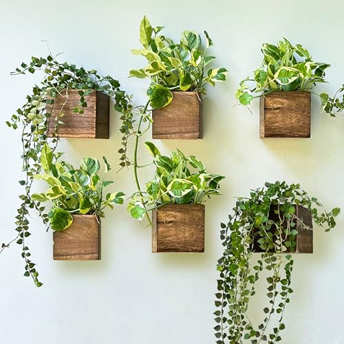 LaLaGreen Wood Planter Boxes for Indoor Plants (4x4 Inch, 6 Pack) Small Square Wall Mounted Planters Flower Pot, Herb Wooden Box Hanging Plant Holder Outdoor Balcony Vertical Garden Modern Home Decor - size: 4x4" x 6 pack