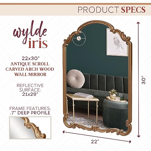 Wylde Iris English Estate Carved Arch Wood Wall Mirror, Mirror for Entryway, Living Room, Bathroom, Antique Gold, 22x30 - color: Antique Gold, size: 30"L x 22"W