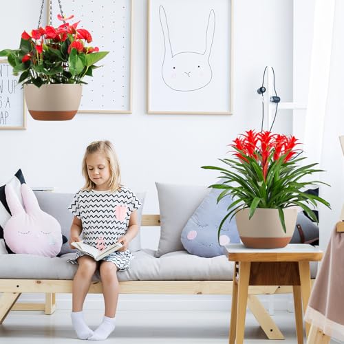 Set of 2 Hanging Planters for Indoor Outdoor Plants, 10 Inch Self-Watering Hanging Flower Pots with Drainage Hole & Removable Water-Storage Tray (Hooks) - color: Beige, size: 10 Inch (M)