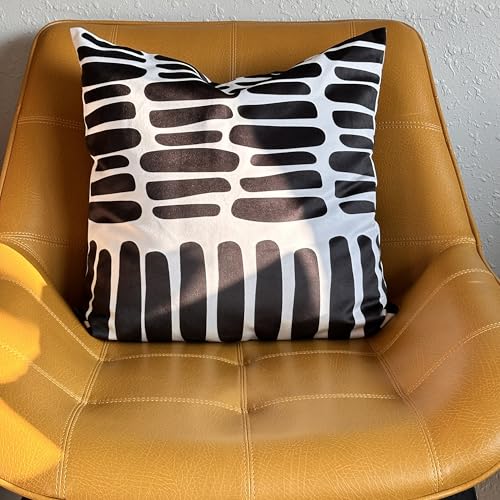 AYAY Decorative Modern Throw Pillow Covers 18x18 Set of 2 – Black and White Throw Pillows for Couch, Bed,Boho Throw Pillow Set, Printed Abstract Velvet Pillows, Washable Indoor Bedroom Pillowcases - color: Black/White Thick Lines