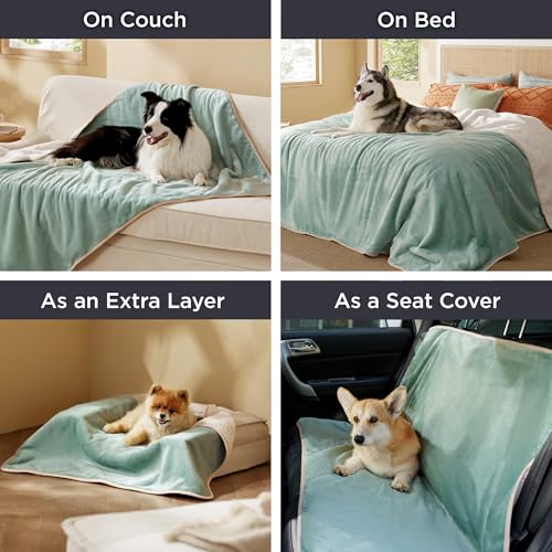 Bedsure Waterproof Dog Blankets for Medium Dogs - Medium Cat Blanket Washable for Couch Protection, Sherpa Fleece Puppy Blanket, Soft Plush Reversible Throw Furniture Protector, 30"X40", Light Green - color: Light Green, size: M(30x40")