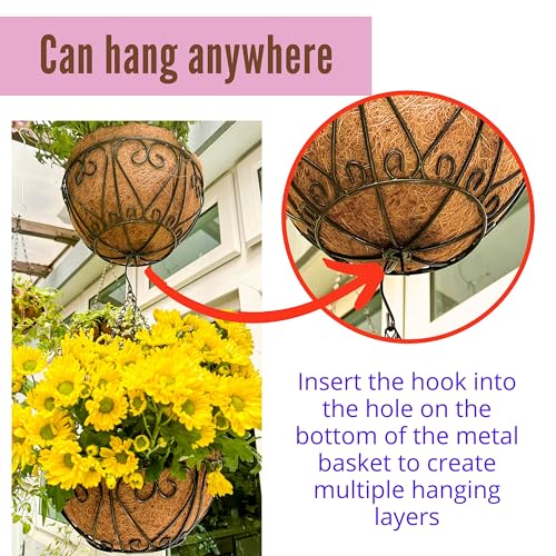 LaLaGreen Hanging Baskets for Plants (10 Inch, 2 Pack) Small Hanging Flower Pots with Coco Liner, Black Metal Wire Round Plant Holder with Hanger Hook Chain Outdoor Deck Patio Balcony Garden Decor - size: 10" x 2 Pack
