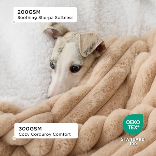 Bedsure ComfyFleece™ Waterproof Dog Blankets for Large Dogs - Soft Pet Cat Blanket Corduroy Fleece for Couch Protector Washable, Cozy Calming Reversible Furniture Protection,40"x50", Tuscan Beige - color: Sandy Beige, size: L(40x50")-1pc