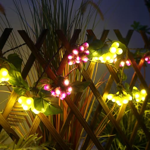 Grape Vine String Lights, 100 LED Grape Lights, Fruit String Lights for Kitchen, Wine Cabinet, Home Decoration, 10 Cluster Purple and Green Grapes Christmas Lights (Green & Purple)