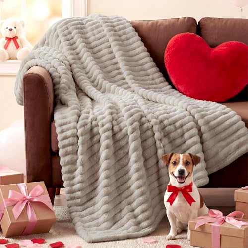 Bedsure GentleSoft Beige Throw Blanket for Couch - Teacher Appreciation Graduation Gifts Birthday Gifts for Women Her, Cozy Fleece Blankets for Women, Small Plush Fuzzy Throws for Girls, 50x60 Inches - color: Beige, size: Throw